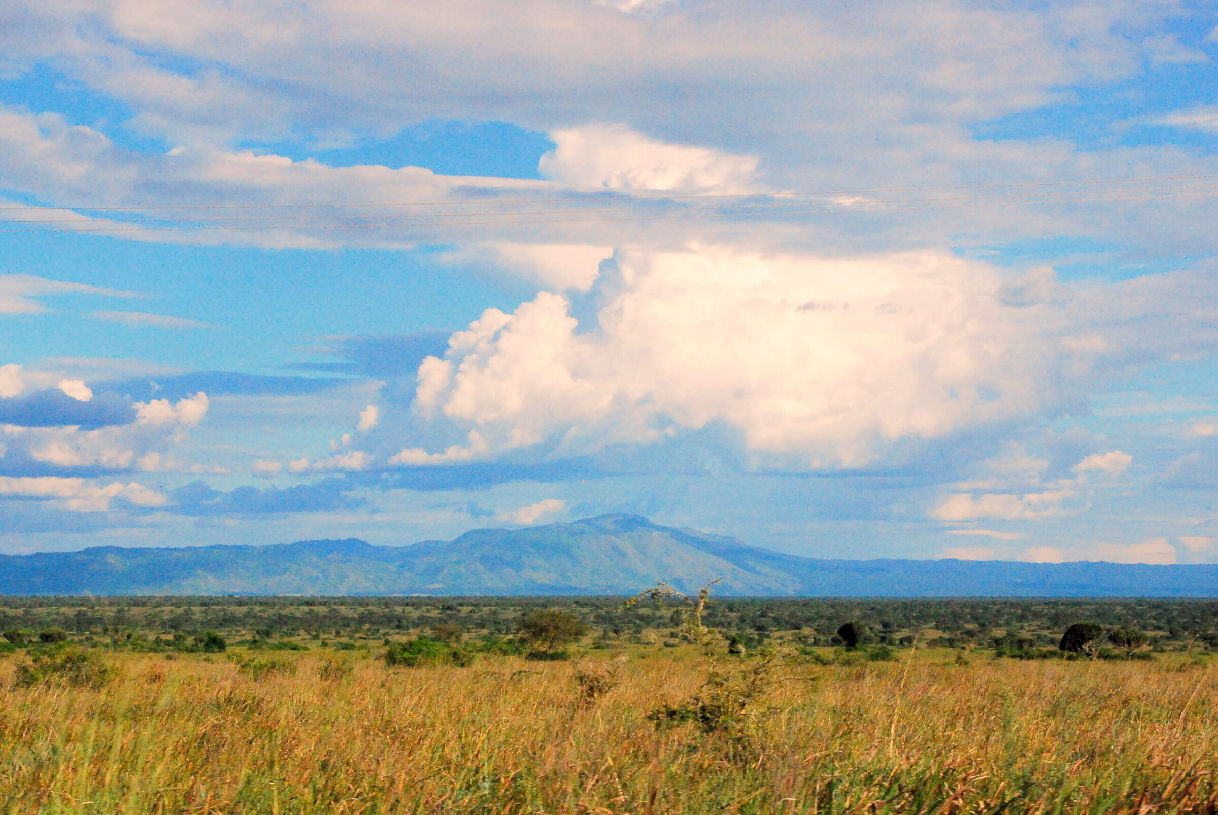 8 Days Uganda - Rwanda safari