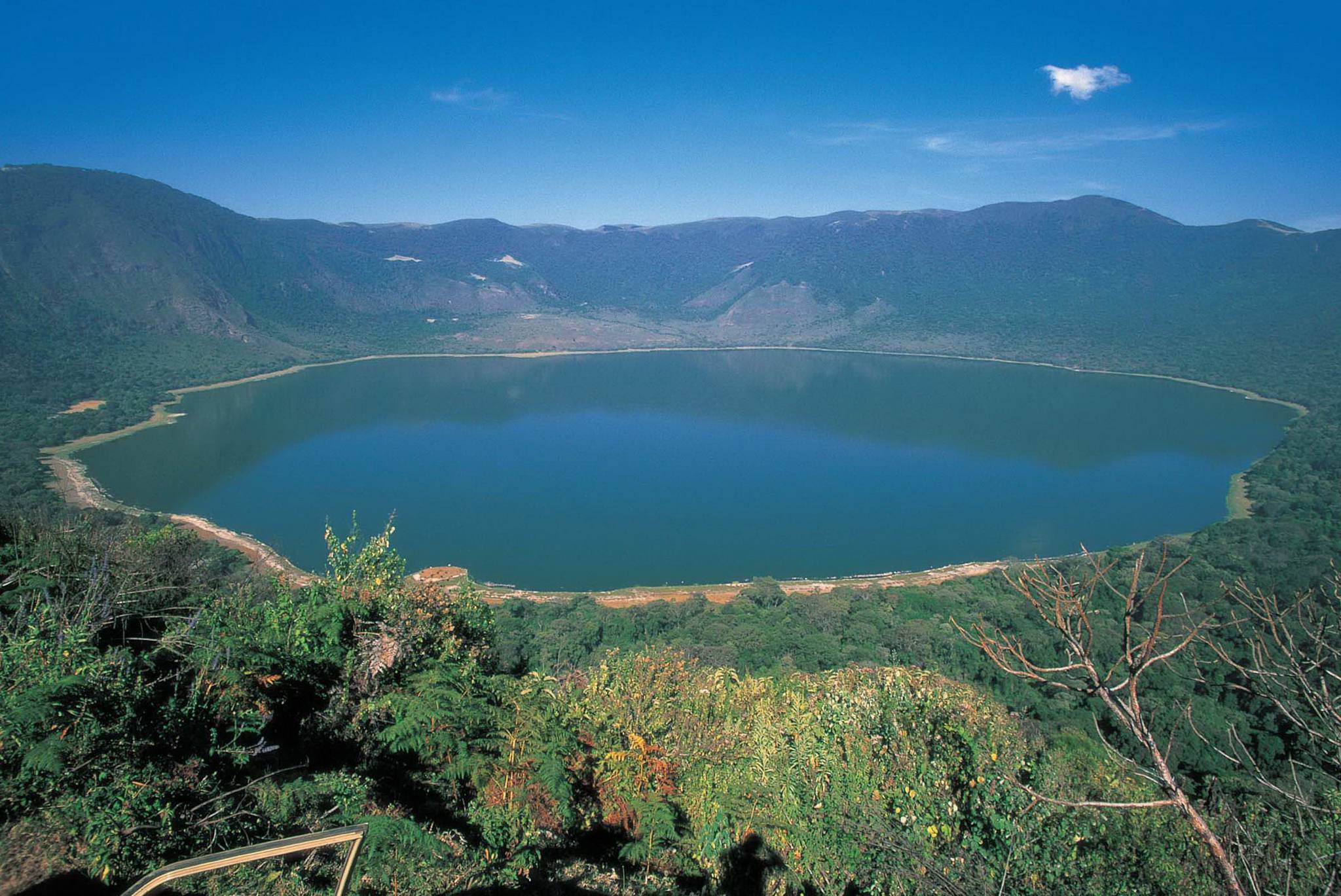 19 Days Uganda-Tanzania safari