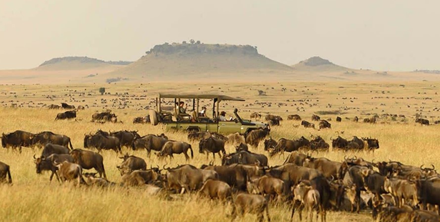 19 Days Uganda-Tanzania safari