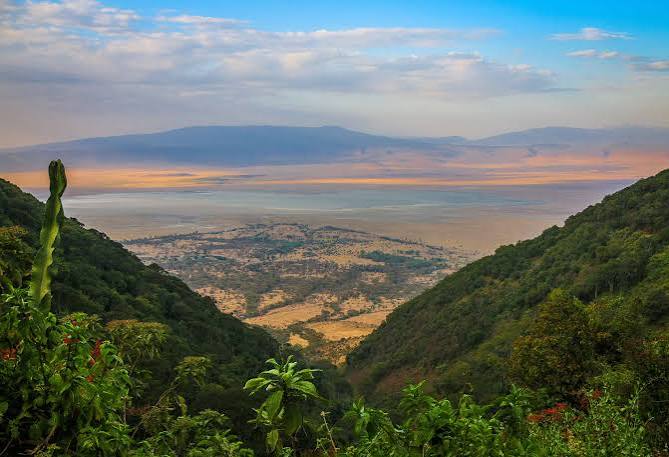 | Uganda Gorilla Tour Tanzania safari