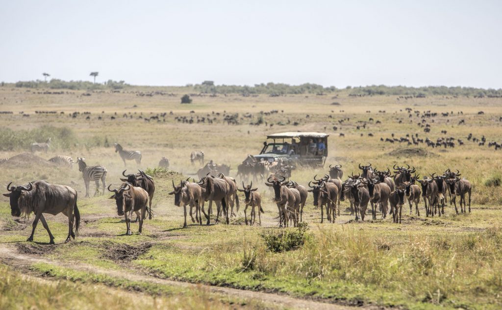 4 Days Kenya - Uganda Flying Safari