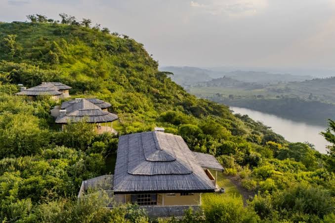 | Uganda Gorilla Tour Kibale Tourist safari lodge