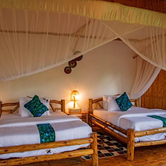 | Uganda Gorilla Tour Kibale Tourist safari lodge
