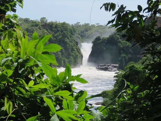 | Uganda Gorilla Tour Paara safari lodge