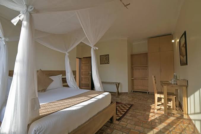 | Uganda Gorilla Tour Mpogo safari lodge