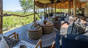 images | Uganda Gorilla Tour buffalo safari lodge