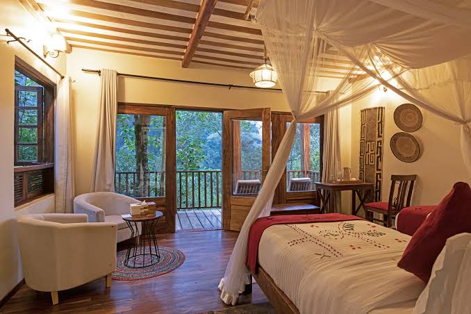 Four gorillas lodge